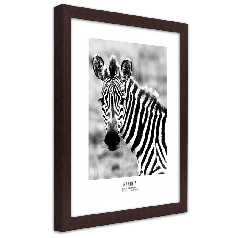 Zebra Animals Nature - Single Picture Frame Print, 90cm H x 60cm W, Brown