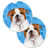 Bouledogue anglais