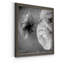 Renoncule foncé II - cadre photo-56949604-56897103-56897107