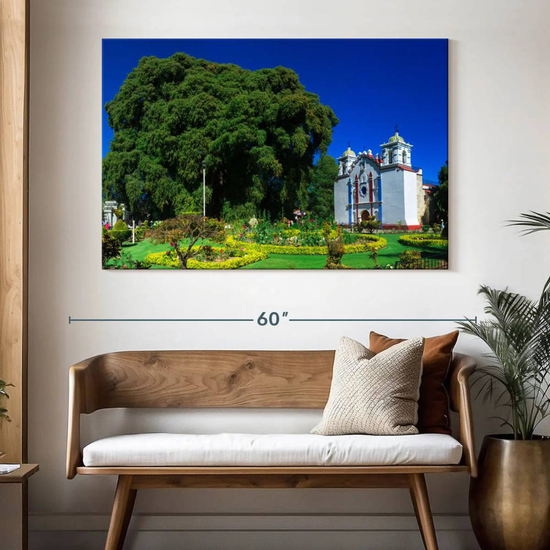 Adella Mexico's El Tule Tree, 34" H x 51" W