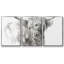 3 bovins Softland Highland Soft Focus-881447649-881447582