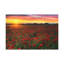 No Frame Print on Canvas-1235141404