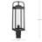 Transparent Lantern Head