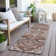 Ceajay Oriental Indoor Rug