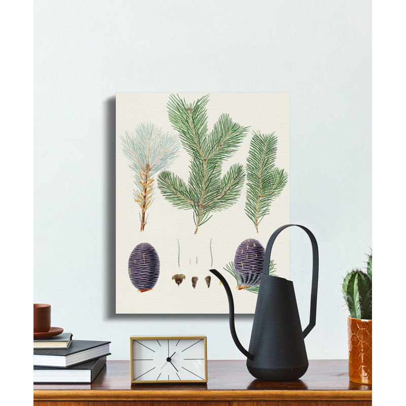 Herrmann Wrapped Canvas Print Set, 16x24