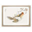 Golden Pheasant by Numata Kashu - Picture Frame Painting Print-55735310-55735309