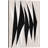 " Zebra "-87384398-87384412