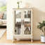 Vitrine Curio-126060716