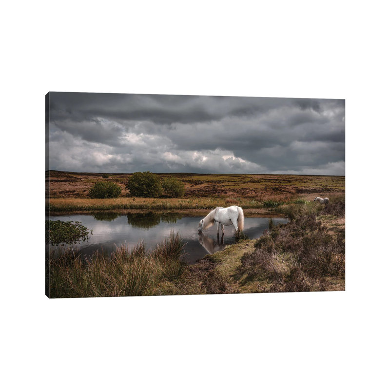 Thirsty by Mark Gemmell - Wrapped Canvas Print, 101.6 cm H x 66.04 cm W x 1.91 cm D