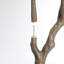 Plante de figuier artificiel 6 pi 6 pi pour décoration de maison et de bureau