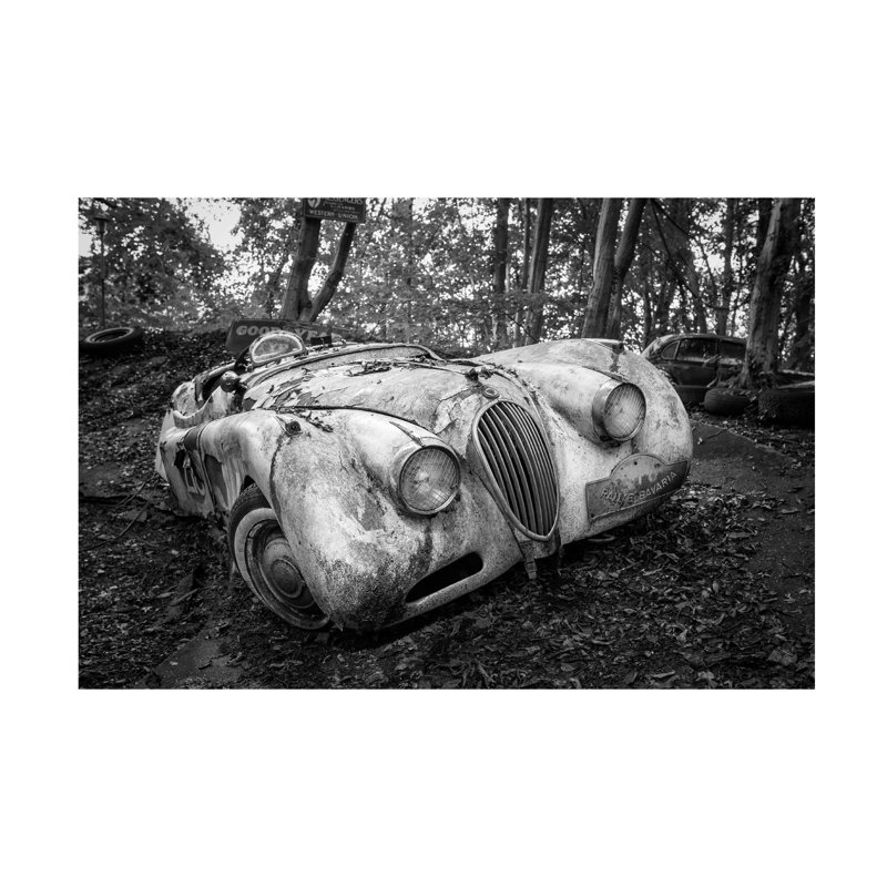 Art sur toile Adam Dauria, H 12 po x l 19 po