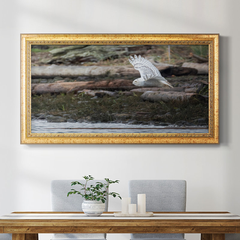 Solo Flight - Reproduction de photo sur toile, H 29 po x l 53 po x P 2,5 po