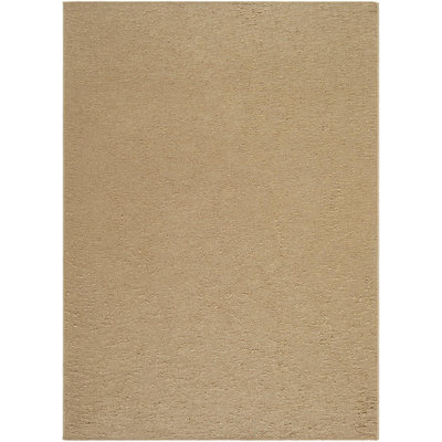 Graisyn Machine Washable Area Rug
