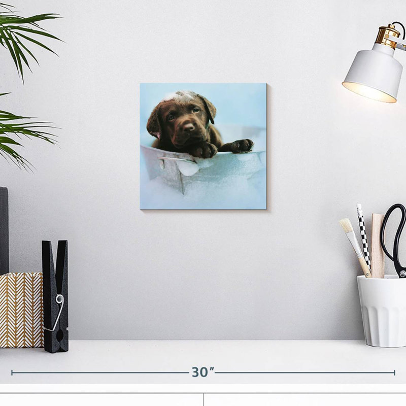 Brampt Beau The Dog, 10" H x 10" W