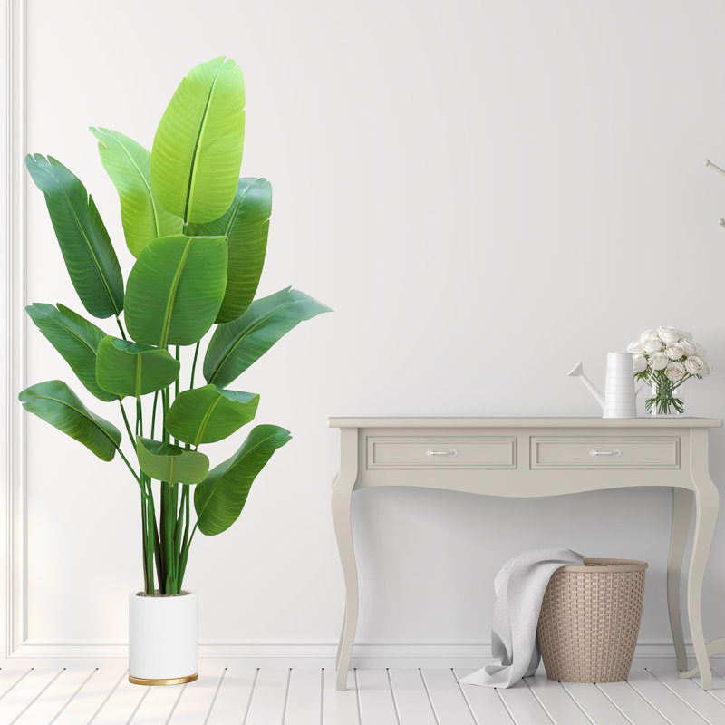210cm Plant