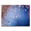 « gouttelettes », reproduction de photo sur toile-32055213