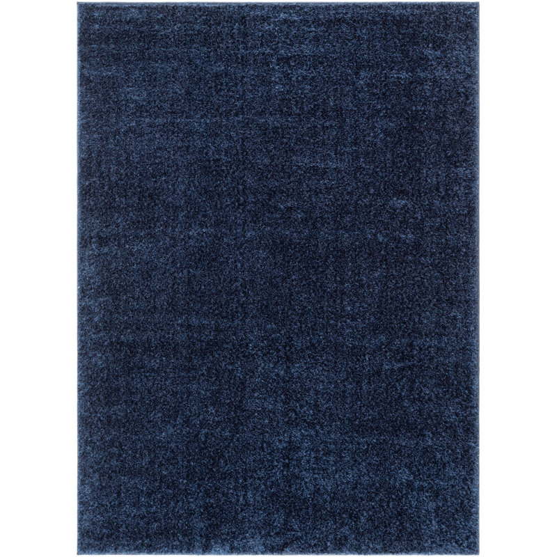 Rainbow Solid Colour Shag Area Rug, Rectangle 160 x 220cm