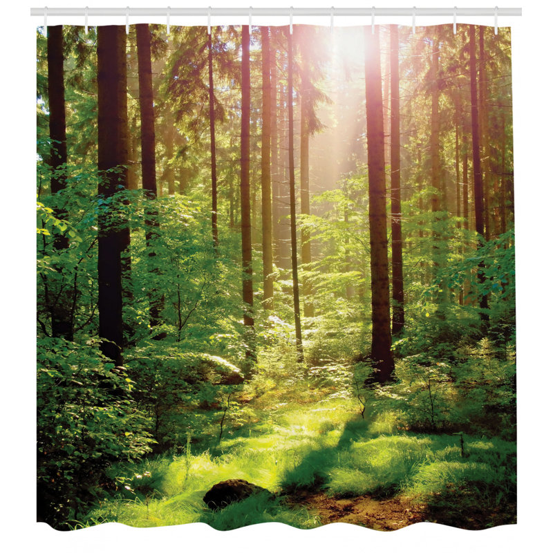 Ensemble de rideau de douche Forest + crochets, H 75 po x l 69 po