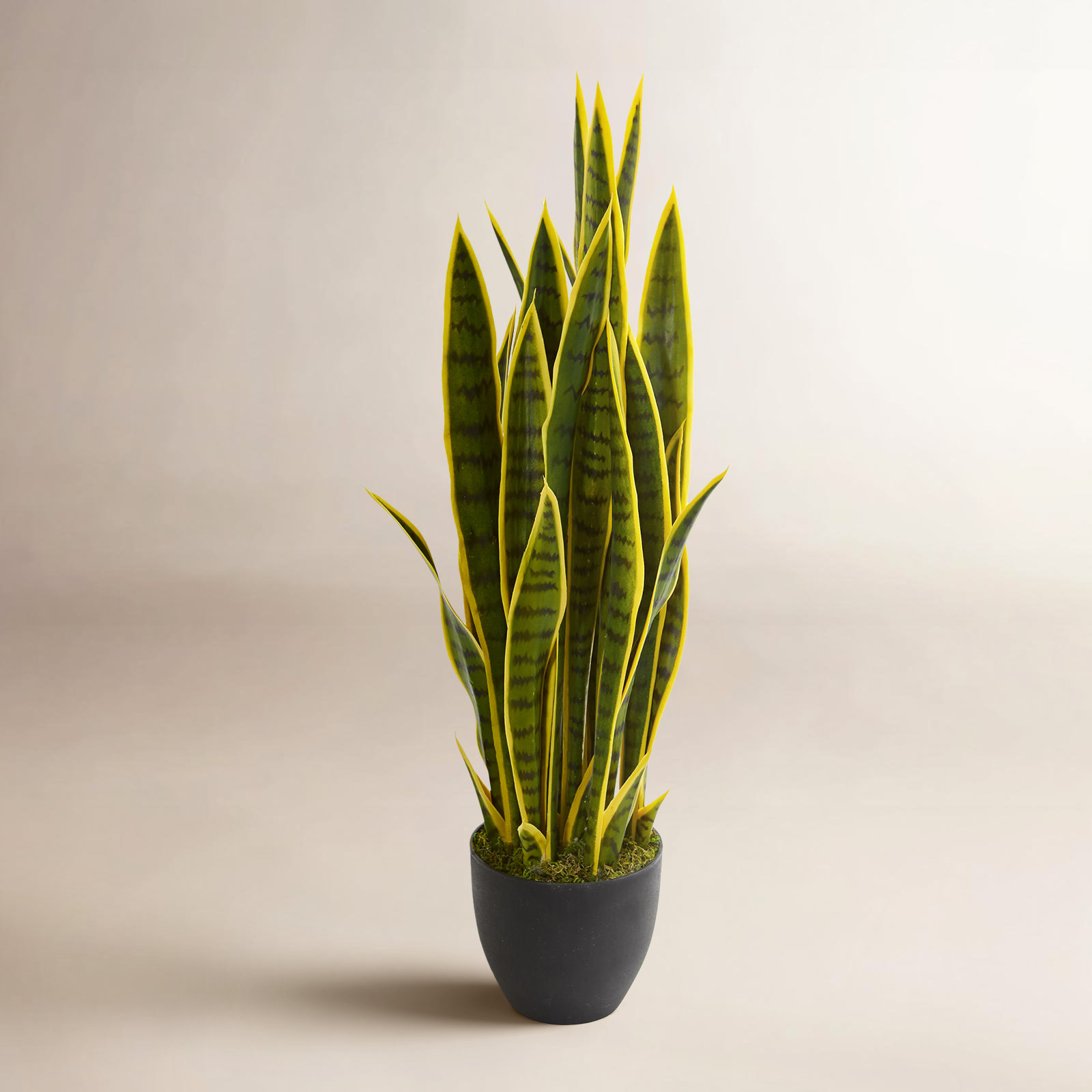 48" Plant in Pot, Green/Yellow, 33" H x 8" W x 8" D