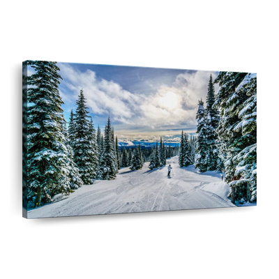 " Ski Away "