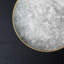 Trivia Dinner Plate