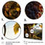 Raisins mauves, attrape-rêves sur toile-573654184-573654185