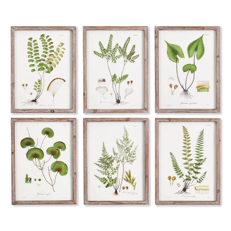 Violeta Shade Garden Study Prints, Set of 6