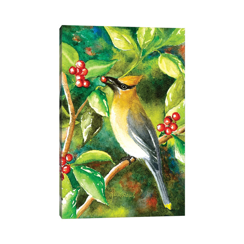 Cedar Wax Wing by Christine Reichow - Wrapped Canvas Gallery-Wrapped Canvas Giclée, 20.32 cm H x 30.48 cm W