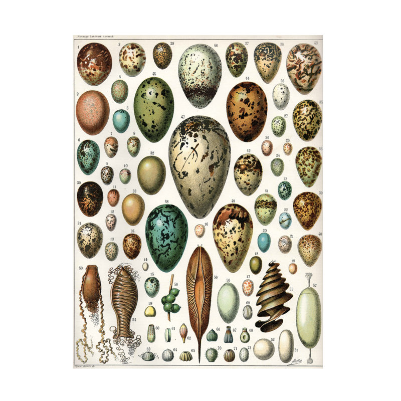 Art sur toile, collection Vintage Apple, H 24 po x l 32 po