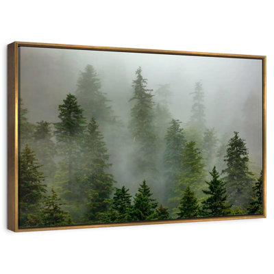 Foggy Alaska