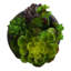 Plante grasse artificielle 7 po en pot