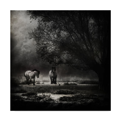 «Under The Willow Tree» par Sasun, reproduction de photo sur toile tendue