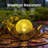 5.5 " Solar Powered Integrated LED Outdoor Floor Lamp