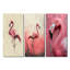 Réflexions de flamants tropicaux dans les eaux roses I - Collection d'art mural animal flamant rouge-1267614667-1267614677-1267614664