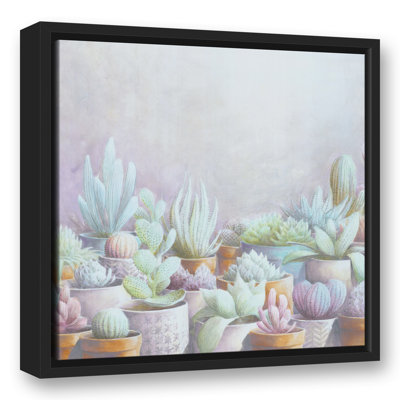 " Cactus Pots "