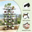Plant Stand - Set of 15