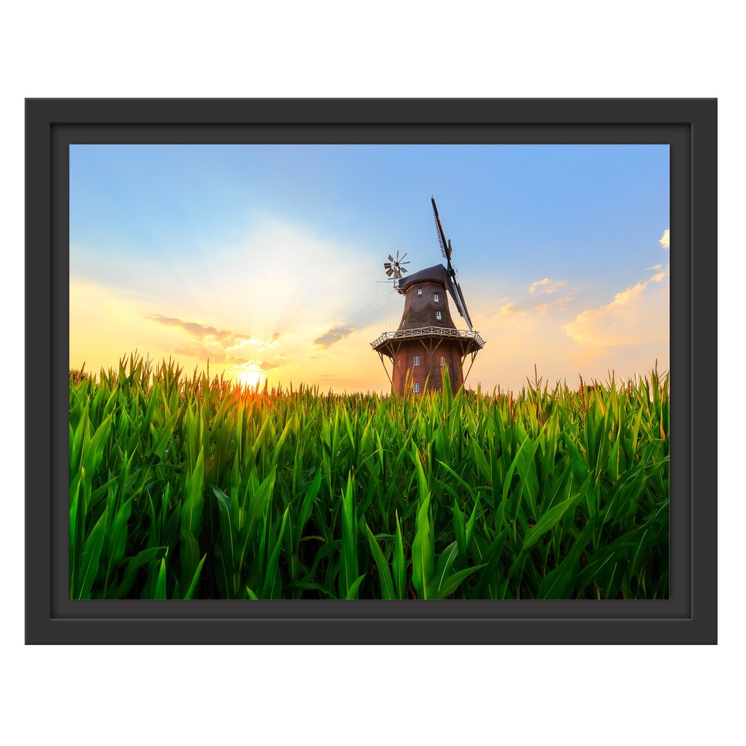 Gerahmtes Wandbild schöne Windmühle auf dem Feld