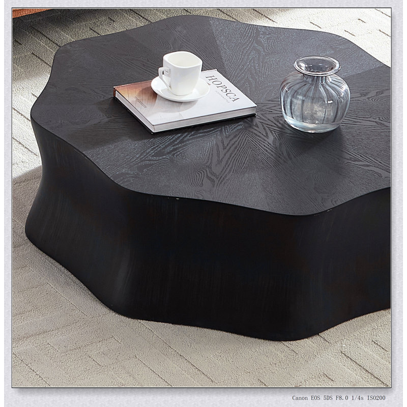 Table basse Artistic Black Petal avec fibre de verre et placage de bouleau, côtés brossés pour les salons modernes