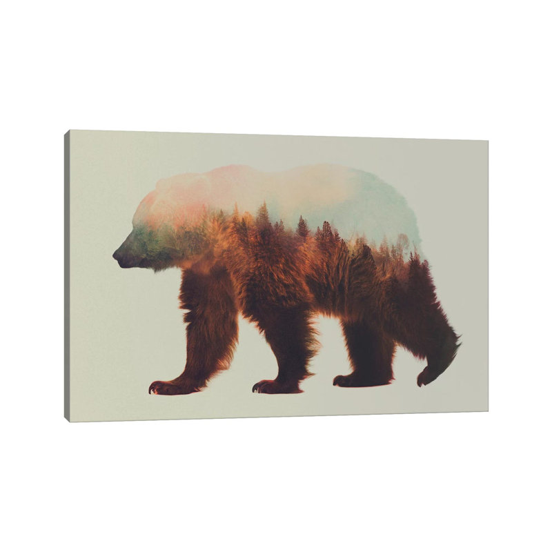 Bjorn by Andreas Lie - 1 Piece Wall Art on Canvas, 30.48 cm H x 45.72 cm W, Wrapped Canvas