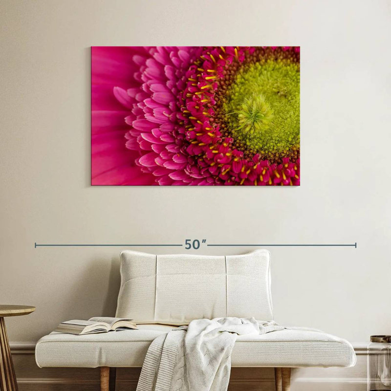 Harberk magnifié Gerbera Daisy, H 26 po x l 39 po