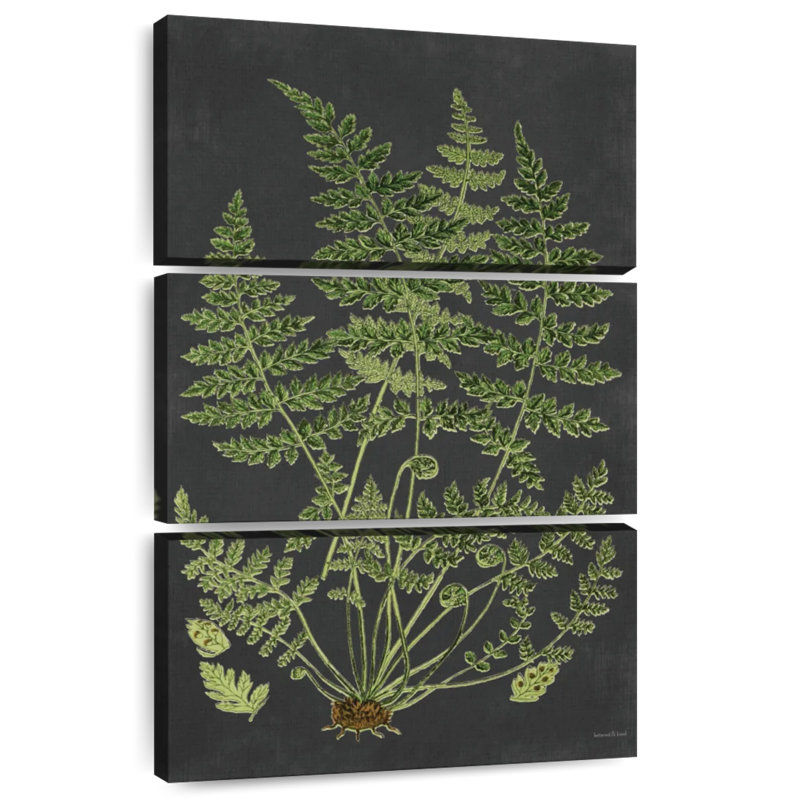 Harnek Fern Study, H 32 po x l 20 po