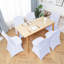 Dining Chair Slipcover-1701217038