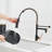 Fapully Pull Down Kitchen Faucet-73243239