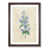 Walnut Framed selected