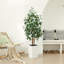 Adcock UV Protected Artificial Ficus Tree with Decorative Base, Faux Ficus Plant with Natural Trunk-1722551527-1722551521