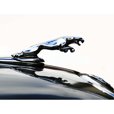 " Jaguar Hood Ornament " by Clive Branson
