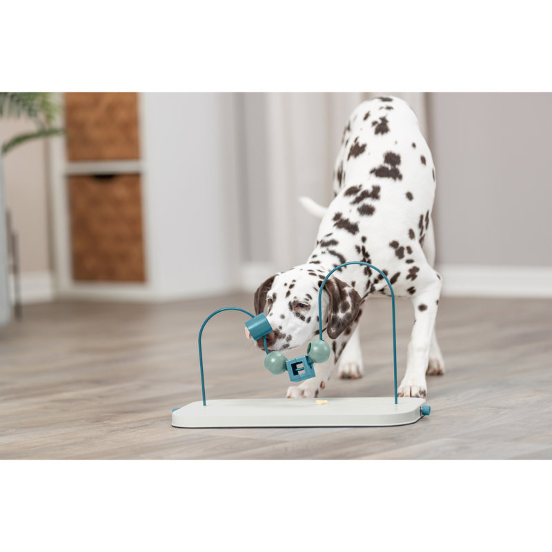 Boucle de compétences pour chien