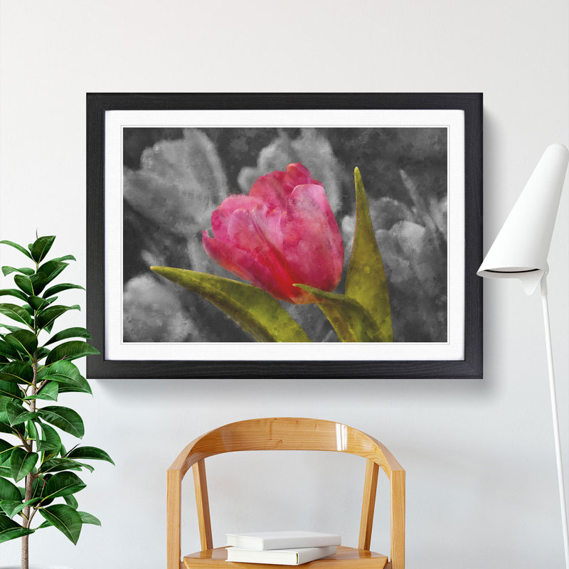 Pink Tulip Flower - Framed Print, 48cm H x 65cm W x 2cm D, Black Framed
