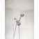 Ignite Five-Function Standard Spray Head With Handheld Shower