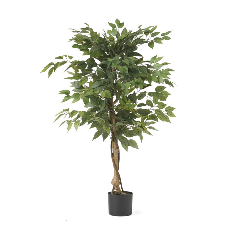 Faux Ficus Tree with Twisted Trunk and Realistic Glossy Leaves, 47.25" H x 23.5" W x 23.5" D